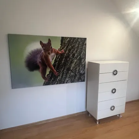 Apartment Polanki U Anki *