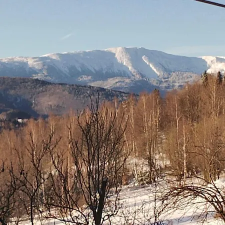 Polanki U Anki Apartament Zawoja