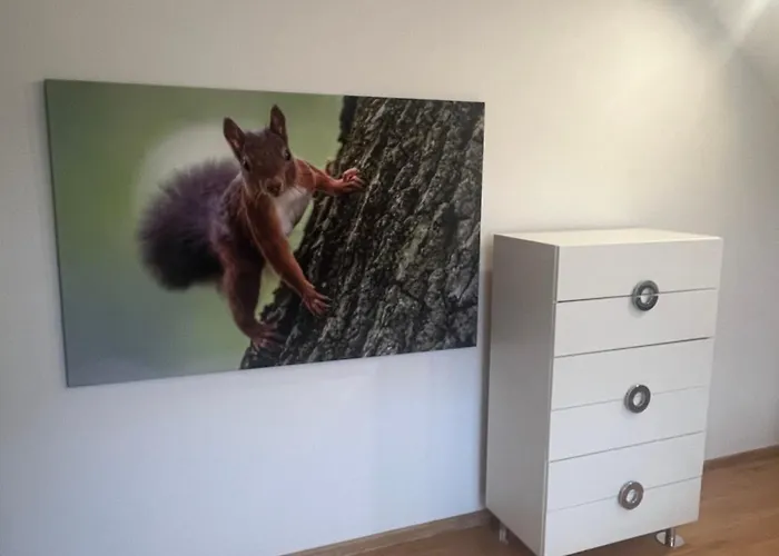 Appartamento Polanki U Anki *