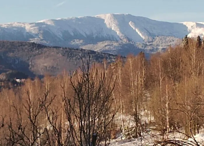 Polanki U Anki Appartamento Zawoja